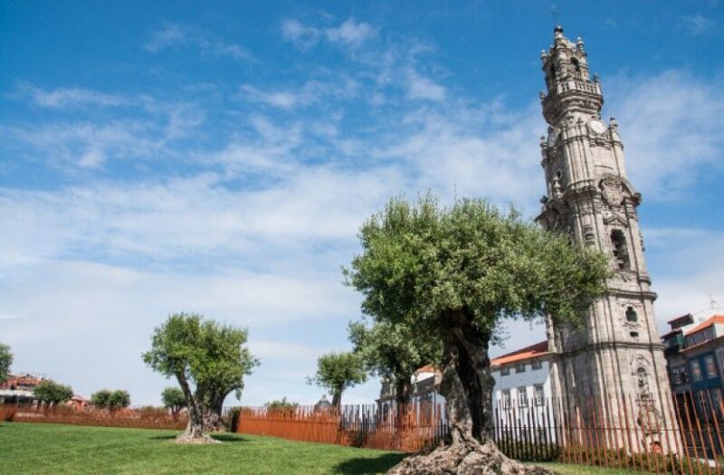 Combo: Porto City Half-Day Tour & Aveiro Half-Day Tour - Practical Details and What to Expect