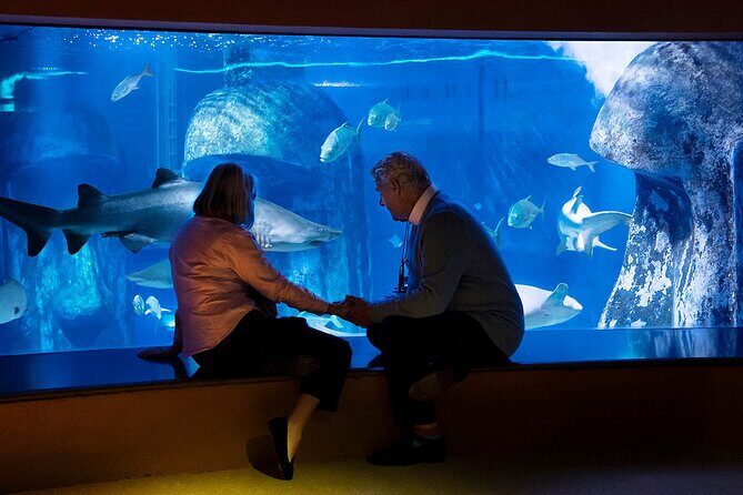 Combo Ticket: Madame Tussauds & SEA LIFE London Aquarium - Discovering SEA LIFE London Aquarium