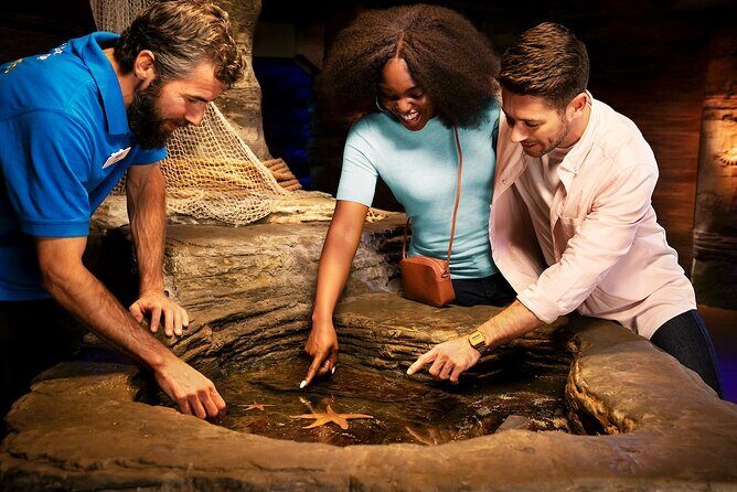 Combo Ticket: Madame Tussauds & SEA LIFE London Aquarium - What the Reviews Say
