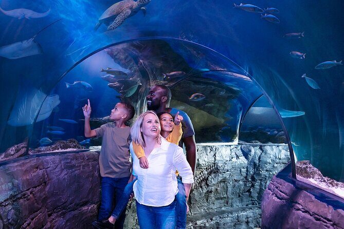 Combo Ticket: Madame Tussauds & SEA LIFE London Aquarium - Final thoughts on the combo experience