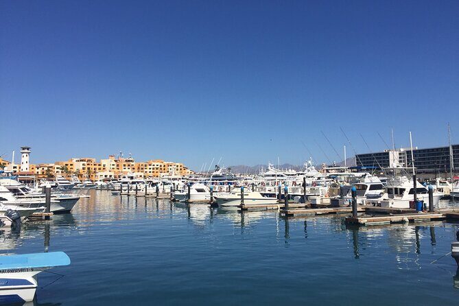 Combo Tour: City Tour of Cabo San Lucas and Beach Day - Who Should Consider This Tour?