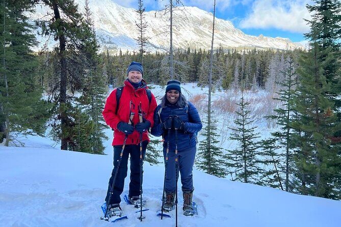 Combo Tour: Driving and Snowshoe Trek of Glacier National Park - Key Points