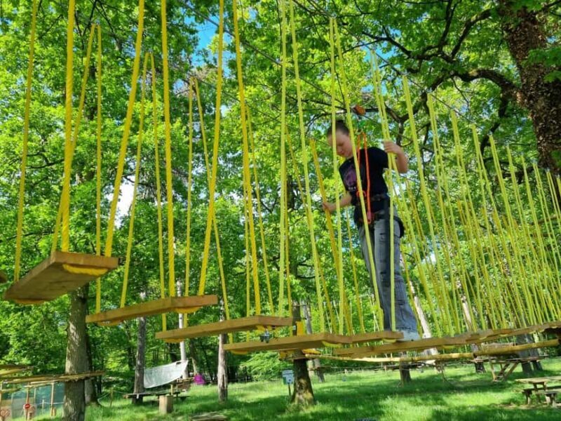 Combreux: tree climbing park - An Overview of the Experience