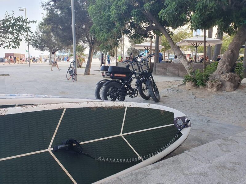 Comfortable E-Fatbike High-Lights Tour Barcelona - Who Will Love This Experience?