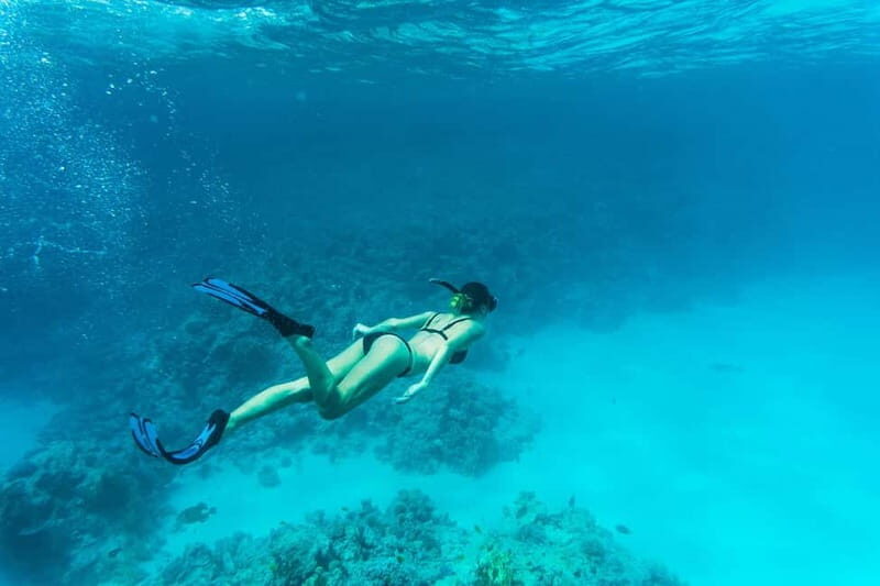 Comino: Blue Lagoon, Crystal Lagoon and Sea Caves Boat Tour - Final Thoughts