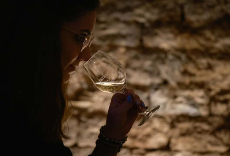 Commanderie de Peyrassol: Guided tour of the wine cellars - A Closer Look at the Commanderie de Peyrassol Tour