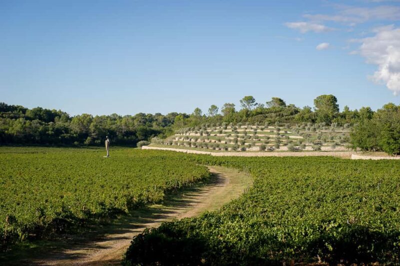 Commanderie de Peyrassol: Self-guided tour among art, vineyards, and forest - Introduction