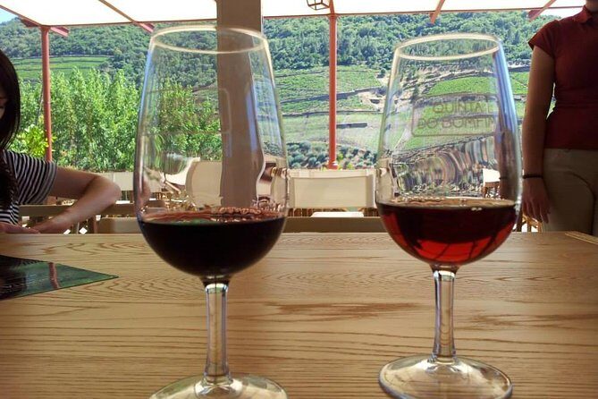 Complete Douro Valley Wine Tour with Lunch, Wine Tastings and River Cruise - Practical Tips for Enjoying the Tour