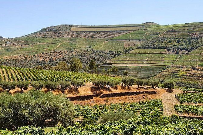 Complete Douro Valley Wine Tour with Lunch, Wine Tastings and River Cruise - Final Thoughts