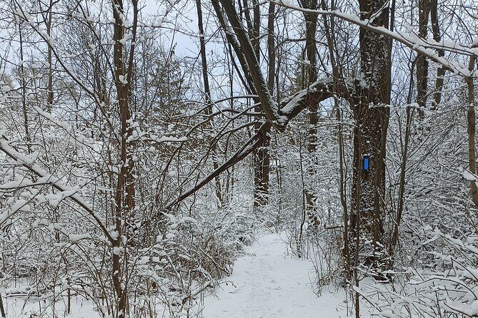 Complete Guided Tour of Niagara Attractions and Trails - Key Points