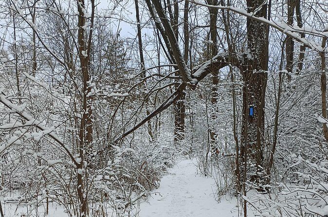 Complete Guided Tour of Niagara Attractions and Trails - The Sum Up