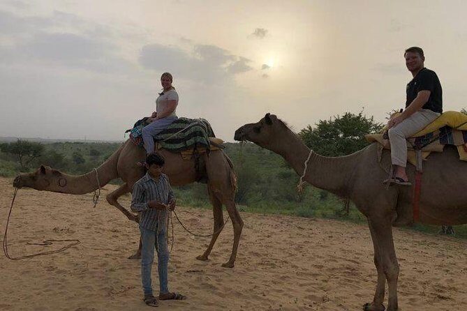 Complete Jaisalmer Tour : 2Night 3 Days - Final Thoughts: Who Is This Tour Perfect For?