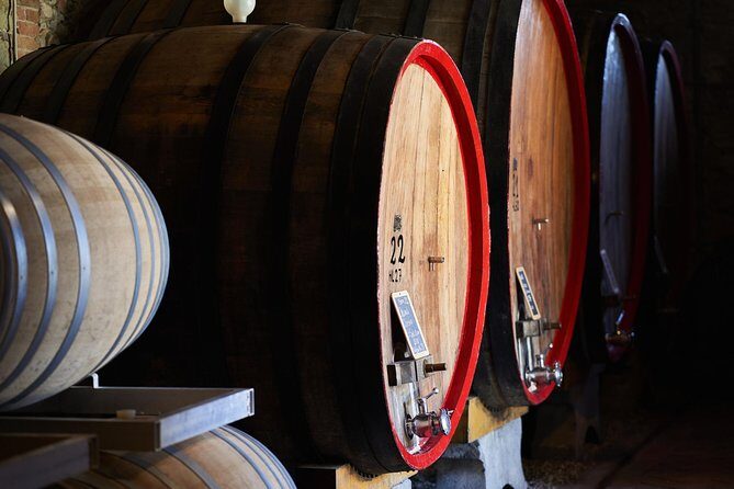 Complete tasting of Castello di Bossi - Key Points