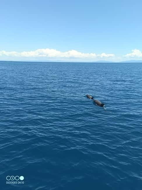 Complete tour of Elba Island - Final Thoughts: Is It Worth It?