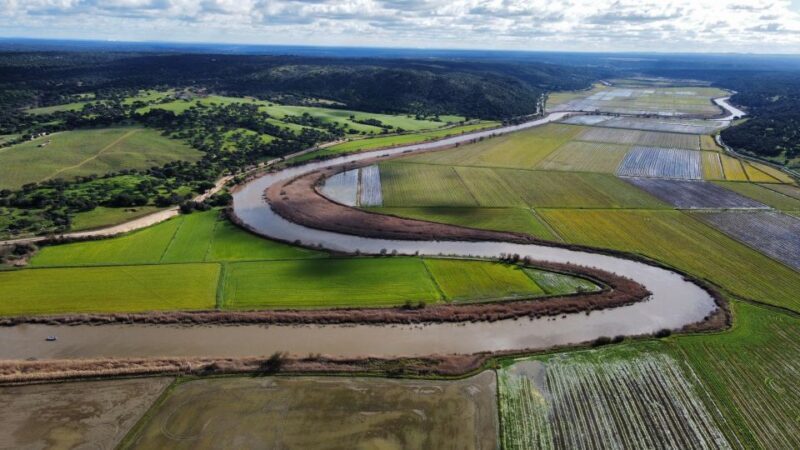 Comporta to Alcacer do Sal boat trip - Comporta to Alcacer do Sal Boat Trip: A Relaxing Dive into Nature and History