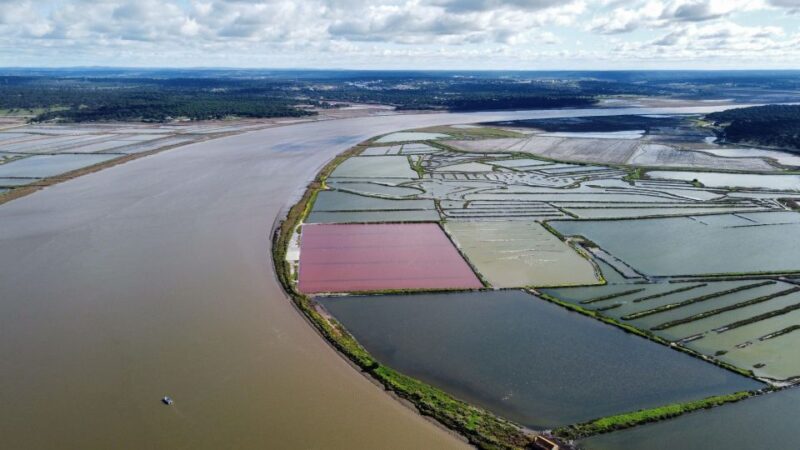 Comporta to Arrábida Coast and Troia - Exploring the Beaches of Arrábida and Tróia