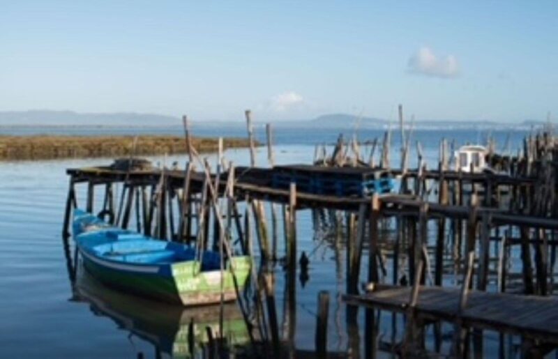 Comporta to Arrábida Coast and Troia - FAQs