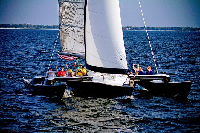 Condor Sailing Public Dolphin and Sightseeing Cruise - Key Points