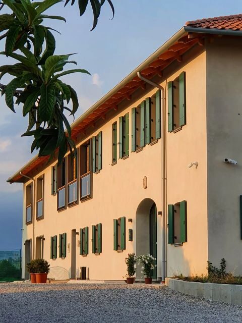 Conegliano: Prosecco Hills and Vineyards tour - Key Points