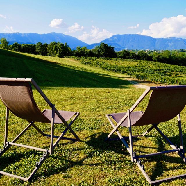 Conegliano: Prosecco Hills and Vineyards tour - Final Thoughts