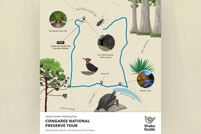 Congaree National Park Self Guided Audio Walking Tour - Why Consider the Congaree National Park Self-Guided Audio Tour?