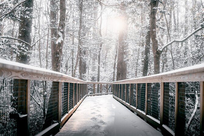 Congaree National Park Self Guided Audio Walking Tour - Practical Details