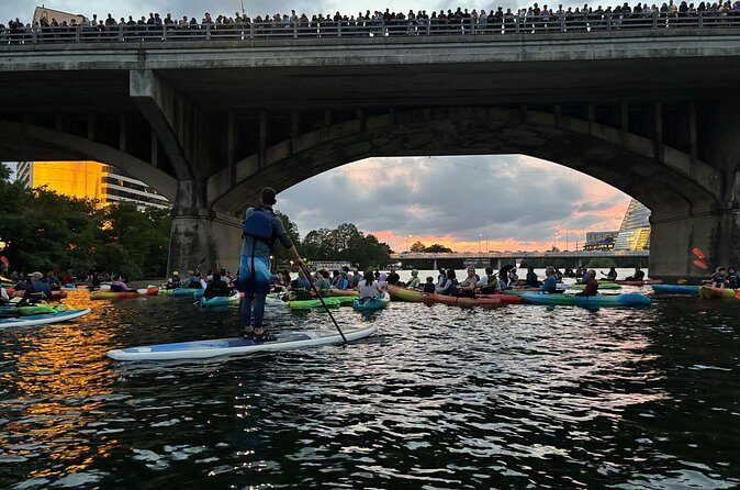 Congress Avenue Bat Bridge Paddleboard Tour - The Sum Up