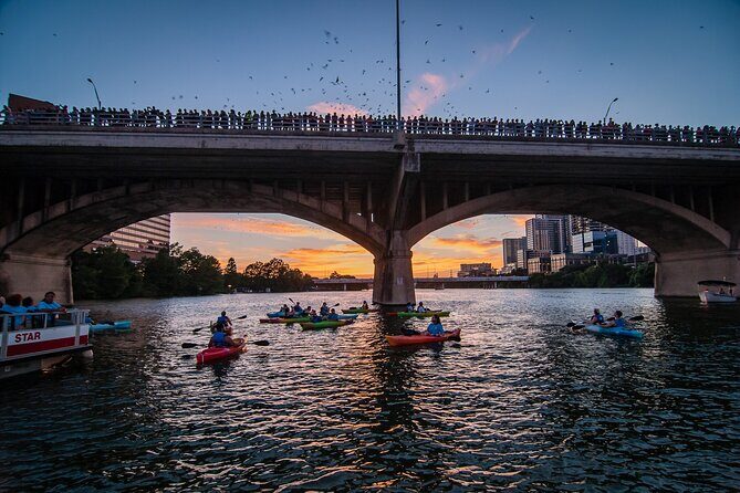 Congress Bridge Kayaking Bat Tour - Key Points