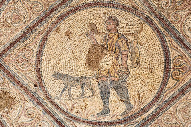 Conímbriga Roman Ruins & Museum - An In-Depth Look at the Tour Experience