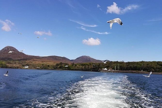 Connemara & Inishturk Island wildlife watching cruise. Private guided Full-day - Discovering Connemara’s Coastal Beauty