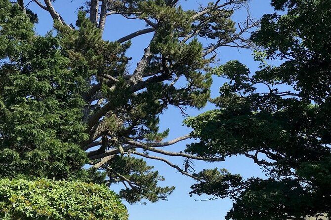 Connemara, Kylemore Abbey and Wild Atlantic Way tour from Galway - Weather and Practical Considerations