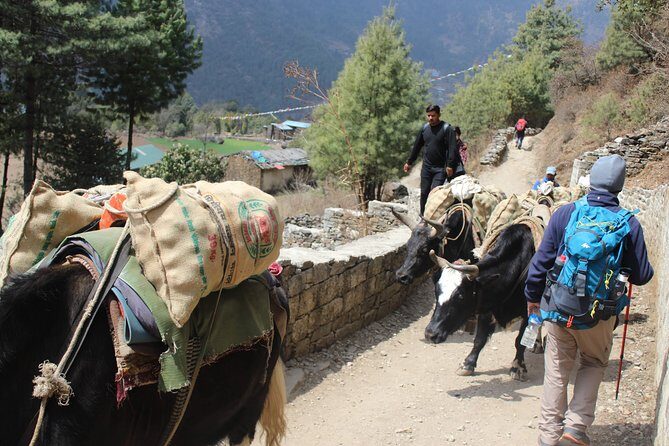 Conquer the Majestic Ama Dablam Base Camp: A Trekker's Paradise - Value and Overall Impression