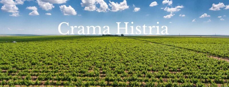 Constana: Ancient Histria Fortress and Local Wine Tasting - Final Thoughts