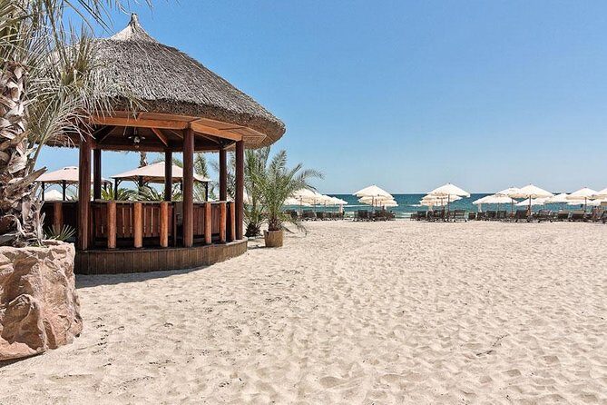 Constanta and the Black Sea Private Tour from Bucharest - In-Depth Look at the Guides and Experiences