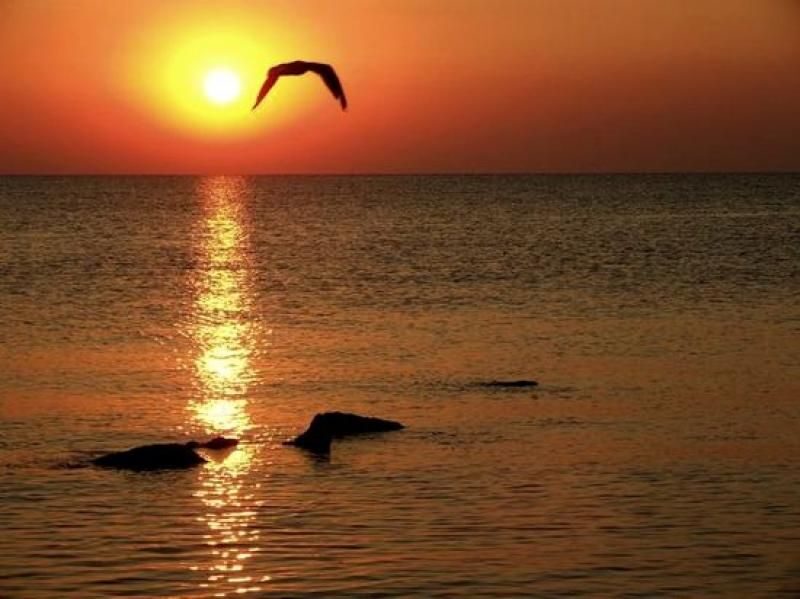 Constanta: Full Day Tour from Bucharest to the Black Sea - Key Points