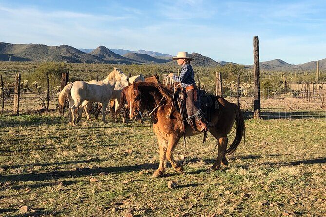 Contact us to book your time. Best Trail Rides in Arizona. - Introduction