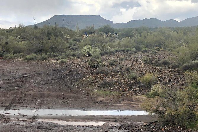 Contact us to book your time. Best Trail Rides in Arizona. - Who Will Enjoy This Experience?