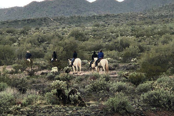Contact us to book your time. Best Trail Rides in Arizona. - The Sum Up