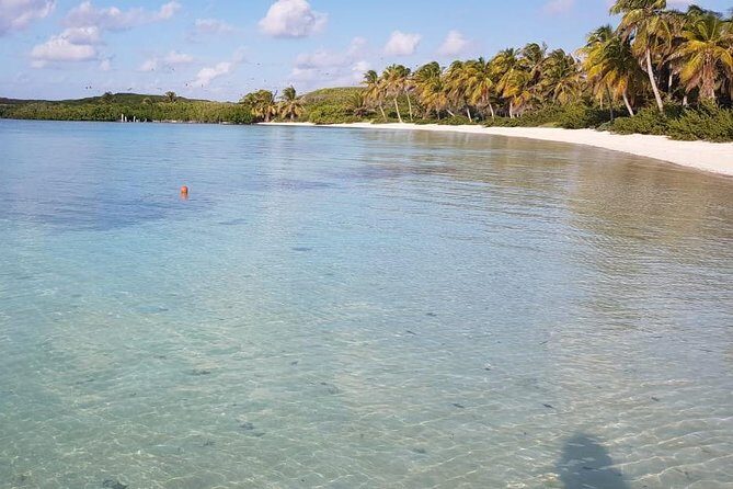 Contoy Island - Practical Details and Group Dynamics