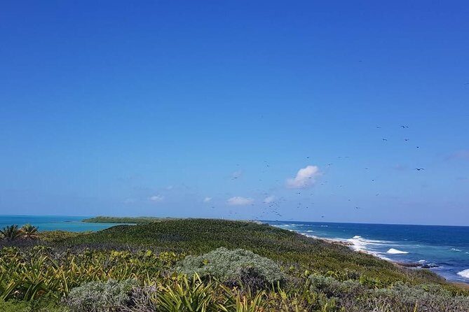 Contoy Island - Authentic Experiences and Guide Knowledge