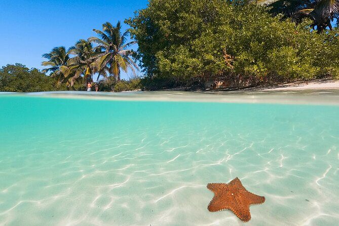 Contoy Island Tour from Cancun and Isla Mujeres with Snorkeling - A Complete Review of the Contoy Island Tour