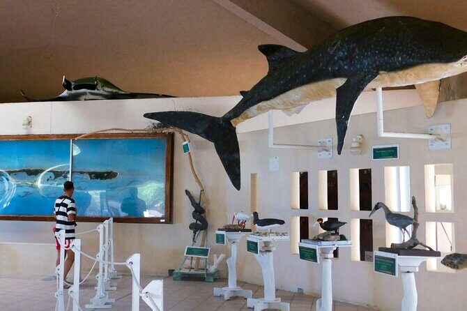 Contoy Island Tour from Cancun and Isla Mujeres with Snorkeling - Final Words