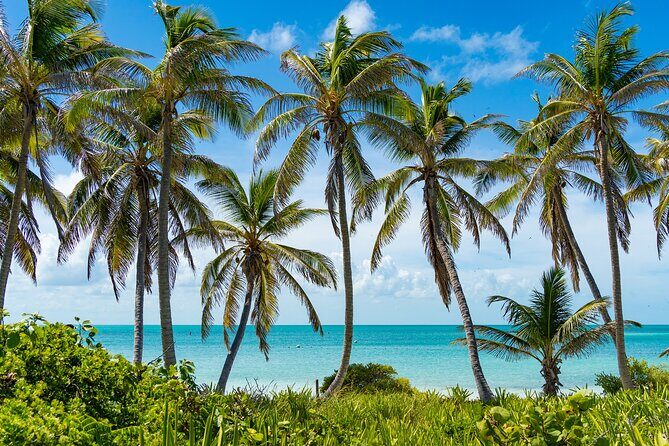 Contoy Island Tour with Untouched Paradise and Beach Day - An In-depth Look at the Contoy Island Adventure