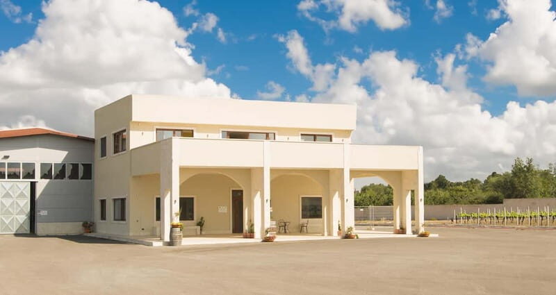 Conversano: wine tasting tour in the winery - An In-Depth Look at the Conversano Wine Tasting Experience