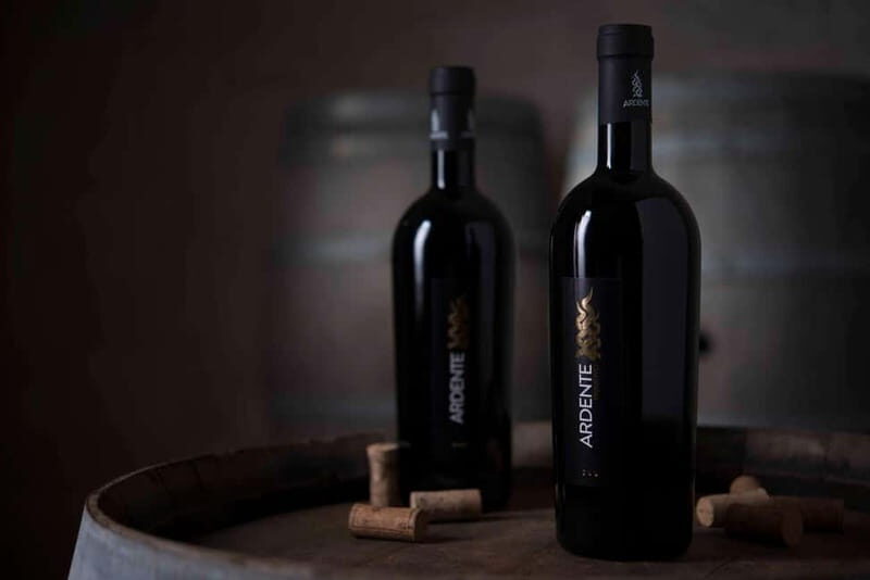 Conversano: wine tasting tour in the winery - Final Thoughts