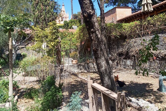 Cook & Dine | Make Authentic Mexican Mole and Salsas in San Miguel de Allende - FAQ