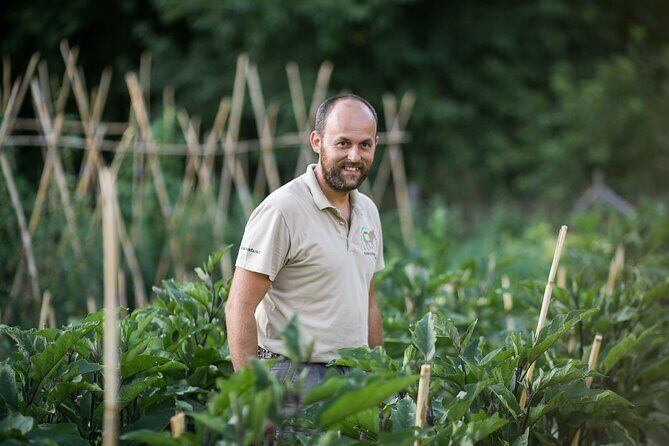 Cook like a local Greek Cooking lesson in Mt Pelion Greece - Frequently Asked Questions