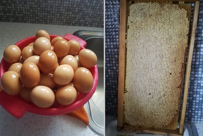 Cooking Class at Alexandras Farm in Ypati Thermal Springs - What to Expect at Alexandra’s Farm Cooking Class