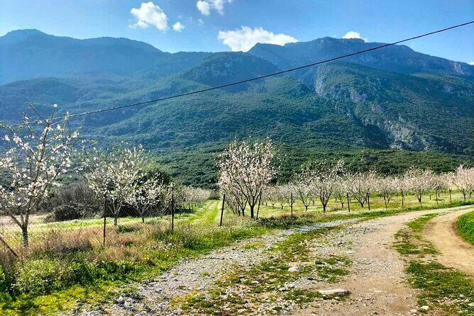 Cooking Class at Alexandras Farm in Ypati Thermal Springs - Who Would Love This Tour?