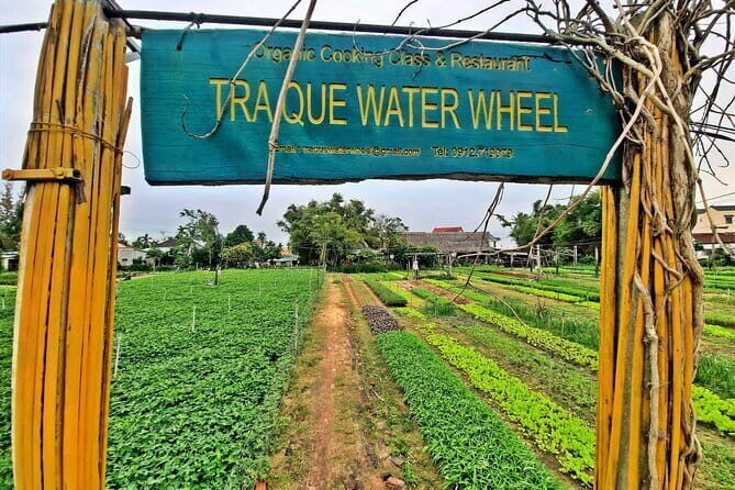 Cooking Class at Tra Que Village in Hoi An - Cooking Class at Tra Que Village in Hoi An — A Genuine Foodie Experience